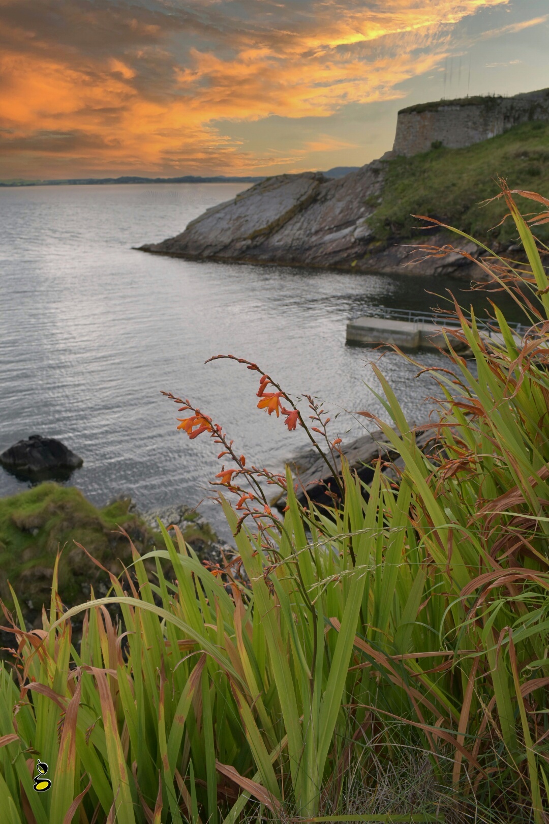 Dunree Fort coastline